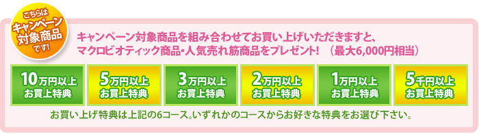 キャンペーン対象商品