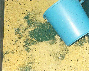 メリーネコクマリン