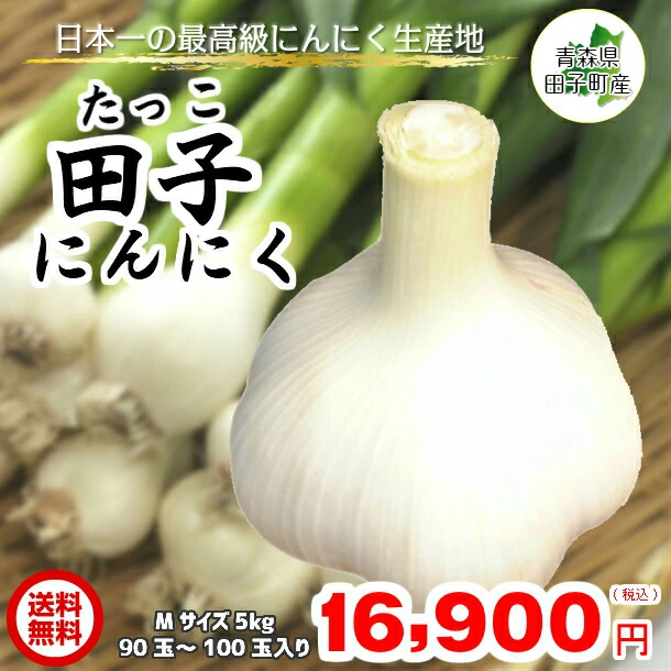 【送料無料】 【青森県産】 田子にんにく Mサイズ 5kg国産/産地直送/たっこにんにく/ニンニク/福地ホワイト六片