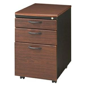 その他 インキャビネット L-05 BK×BR ブラック×ブラウン ds-2262099