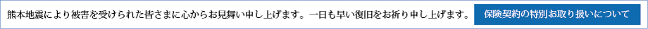 熊本地震により被害を受けられた皆さまに心からお見舞い申し上げます。保険契約の特別お取り扱いについて